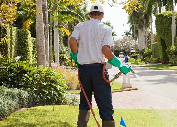 About Trenton MI Pest Control Pros